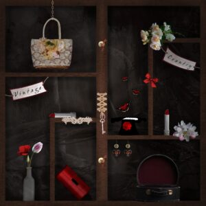 Vintage fashion showcase